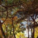 지산근린공원 이미지