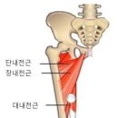 매교 이미지
