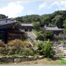 상림농장 이미지