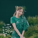 솔라solar