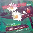 대성오아시스 Daum카페