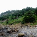 제주 서귀포층 패류화석 산지 이미지