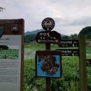 능내1리 마을회관 이미지