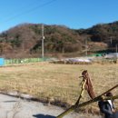 도통초등학교 이미지