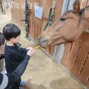 엘포리 캠핑장 이미지