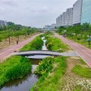 생활-생물-생태 프로그램 이미지