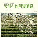 Re:[주중도보:3월 28일(목)]하동 쌍계사 십리벚꽃길 버스좌석표 이미지