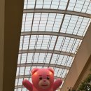 벨리도너츠의왕점 | 의왕 롯데프리미엄 아울렛 뿌시기 + 벨리곰 팝업스토어 , 골든듀 아울렛 웨딩밴드 구경 (아크테릭스...