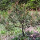 수동농장 이미지