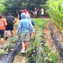 대창초등학교 이미지