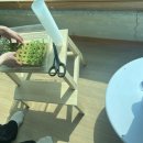 가든타워 | 최애 반려 식물 - 가든타워 수경재배 후기, 집에서 샐러드 채소 키우는 방법