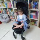 아이빅토이 | TG타보 베이직 트랩 - 휴대용 유모차 구매후기