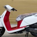 욜로모터스 이미지