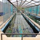 강원도내수면자원센터 이미지