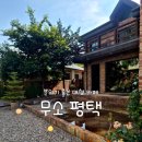 주정차단속안내판-주차-004 | [평택 카페] 분위기 좋은 무소 평택, 두 번째 방문도 완벽했던 디저트 맛집