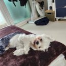 행복한 집밥 이미지