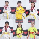 국가대표 탑 태권도장 이미지