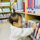 예솔작은도서관 이미지