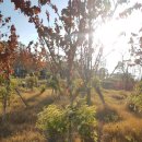 국화황토공원 이미지