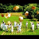 사진촬영 이미지