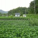 윤미농장 이미지