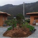 무릉도원면-34 이미지