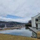 산책하는날 | ​대전 근교 가족 나들이 끝판왕! 🚗 나의신랑은나무꾼 먹고 포레포라 산책하는 꿀코스