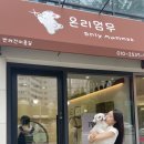 강아지 미용실 아이딜릭 인테리어 후기