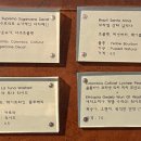 오티오커피 이미지