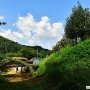 비암농장 이미지