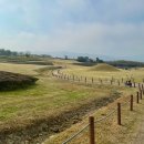 의성조문국사적지 | [경북의성 조문국사적지] - 가을 산책 코스로 추천하는 고분 명소