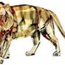 무늬카레 이미지