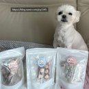 댕꼬미다 이미지