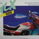 대림혼다 Daum카페