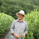 거창아로니아연구회