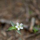 로얄전자 이미지