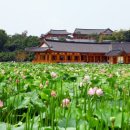 전주한지박물관(휴관) 이미지