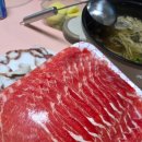 혼자두면 장판뜯어서 차린 개카페 이미지