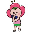 용인대 강한태권도장 이미지