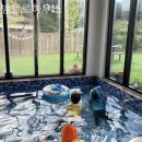 강릉 하우스 이미지