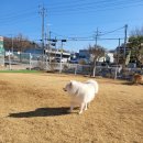 호텔 더킹 이미지