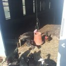 삼문농장 이미지