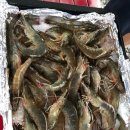 달서별빛캠프 캠핑장(오토캠핑장) 이미지