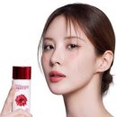 와이드와일드 이미지