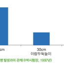 [수박] 병해/질병 이미지