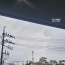 삼촌정육식당