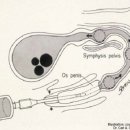 하트동물의료센터 이미지