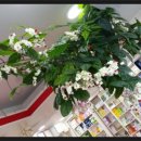 무성약국 이미지