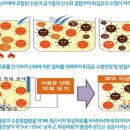 이앤에스케어