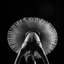 더발레핏 스튜디오 이미지